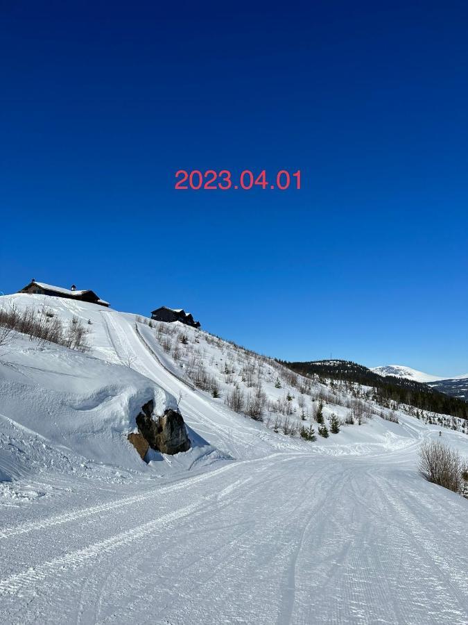 Perfect Moutain Getaway! Beautiful Apartment At Skagahogdi With Panoramic View Gol Exterior foto